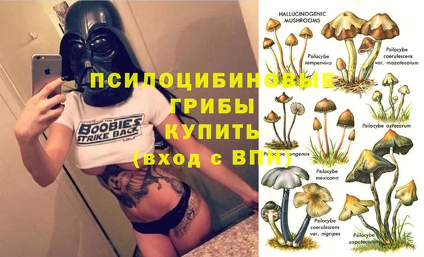 молекула духа Лагань