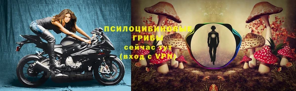 молекула духа Лагань
