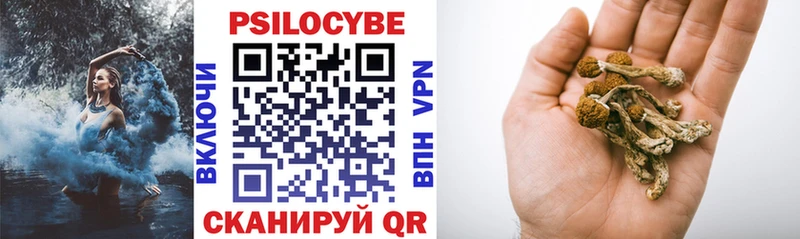 Купить где  Полесск  Псилоцибиновые грибы Psilocybine cubensis 